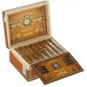 Trabucuri Perdomo Nicaragua Robusto Connecticut 24