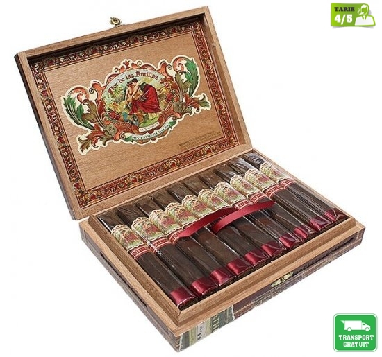 Trabucuri My Father Cigars Flor de Las Antillas Maduro Corona 20