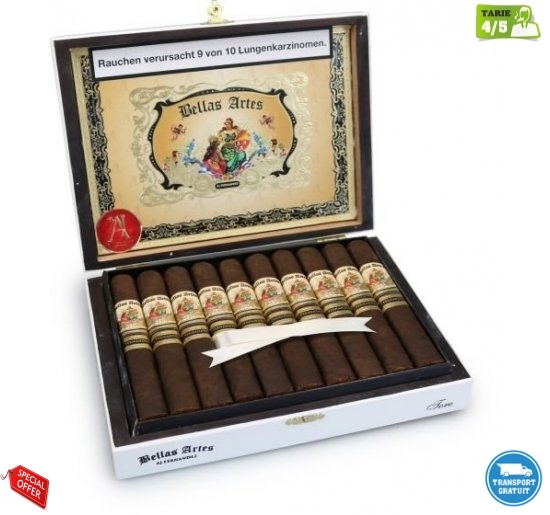 Trabucuri AJ Fernandez Bellas Artes Maduro Toro 20