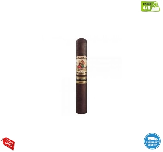 Trabucuri AJ Fernandez Bellas Artes Maduro Toro 20