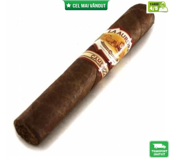 Trabucuri La Aurora 1903 Cameroon Robusto 20