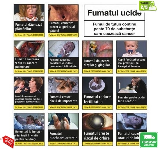 Trabucuri Joya de Nicaragua Cabinetta series No 60 Perfecto Gordo 12