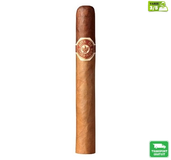 Trabucuri Joya de Nicaragua Cabinetta Series No 11 Corona Gorda 20