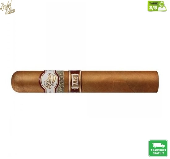 Trabucuri Padron Damaso No 32 Natural 20