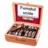 Trabucuri Arturo Fuente Hemingway Best Seller 25