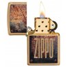 BRICHETA ZIPPO BRUSHED BRASS RUSTY PLATE DESIGN oferta bricheta zippo