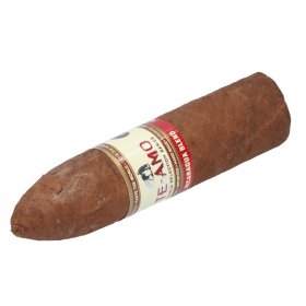 Trabucuri Te Amo Gran Corto Nicaragua Blend 15