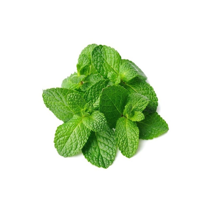 Tutungerie cu Tigari de foi Senator Midi Viridis Mint trabucuri Senator
