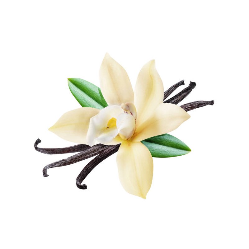 Tigari de foi Senator Arena Vanilla 5 cumpar tigari de foi Senator