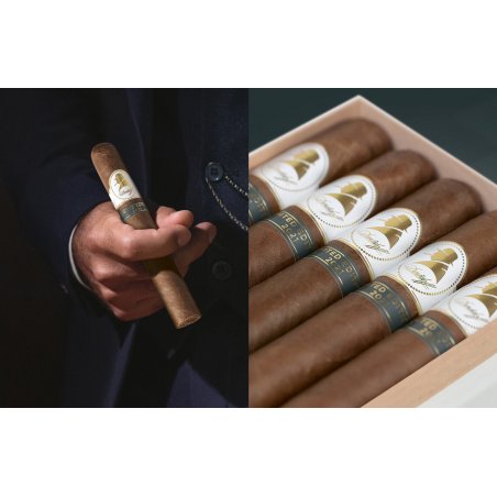 Trabucuri Davidoff Winston Churchill Limited Edition 2021 Toro oferta