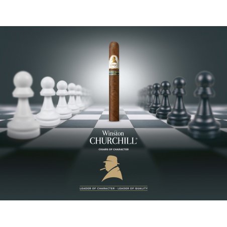 Trabucuri Davidoff Winston Churchill Limited Edition 2021 Toro oferta