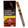 Tigari de foi Djarum Wood Tips Ruby Cherry 5