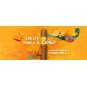 Tutungerie cu Trabucuri Zino Fresh Pack Nicaragua Short Torpedo 4