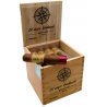 Trabucuri El Viejo Continente Classic Brevium Gran Short Robusto 25