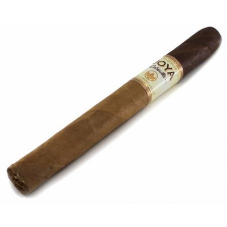 Tutungerie cu Trabucuri Joya De Nicaragua Cabinetta Churchill 20