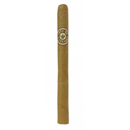 Trabucuri Joya de Nicaragua Clasico Senioritas 10 reduceri