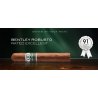 Trabucuri Bentley Robusto 20