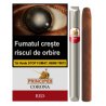 Tigari de foi La Aurora Principes Corona Red tutungerie La Aurora Principes