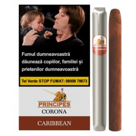 Tigari de foi La Aurora Principes Caribbean 60