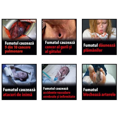 Trabucuri Don Tomas Bundle Robusto 30 fumez trabucuri dominicane