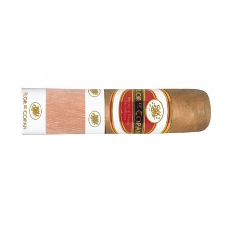 Trabucuri Flor de Copan Classic Short Magnum 20 tutungerie trabuc