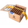 Trabucuri Trinidad Reyes (24)