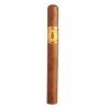 Trabucuri cubaneze El Rey Del Mundo Demi Tasse 25