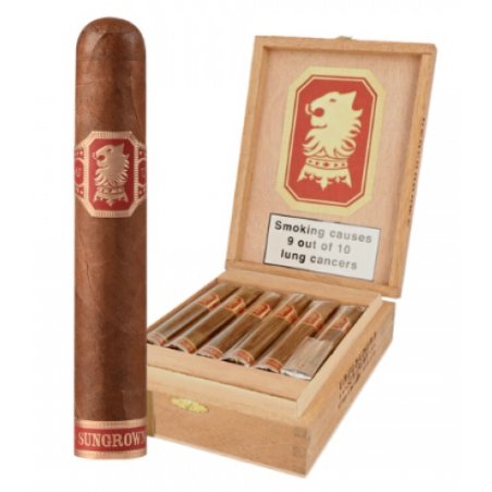 Trabucuri Drew Estate Undercrown Sun Grown Robusto (12)