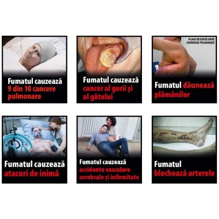 Trabucuri Drew Estate Herrera Esteli Brazilian Maduro Toro (25)