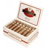 Trabucuri Flor de Copan Classic Gordito Torbusto 20