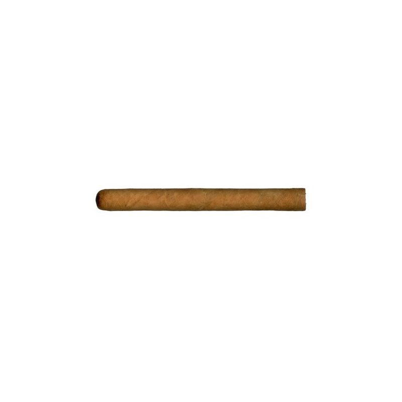 Trabucuri Bundle Cusano Churchill 16 fumez trabuc
