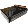 Trabucuri Quesada 40th Anniversary Toro Real 20