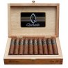 Trabucuri Quesada Espana Robusto 20 fumez tigari de foi