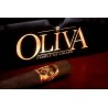 Trabucuri Oliva Serie V Melanio Edición Año 2022 (10)