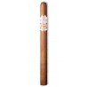 Trabucuri Casa Turrent 1880 Colorado Lancero (10) fumez