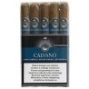 Trabucuri Perla D Calvano Corona 5