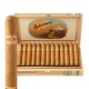 Trabucuri Sobremesa Brulee Robusto 13 fumez trabucuri
