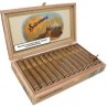 Trabucuri Sobremesa Brulee Robusto 13