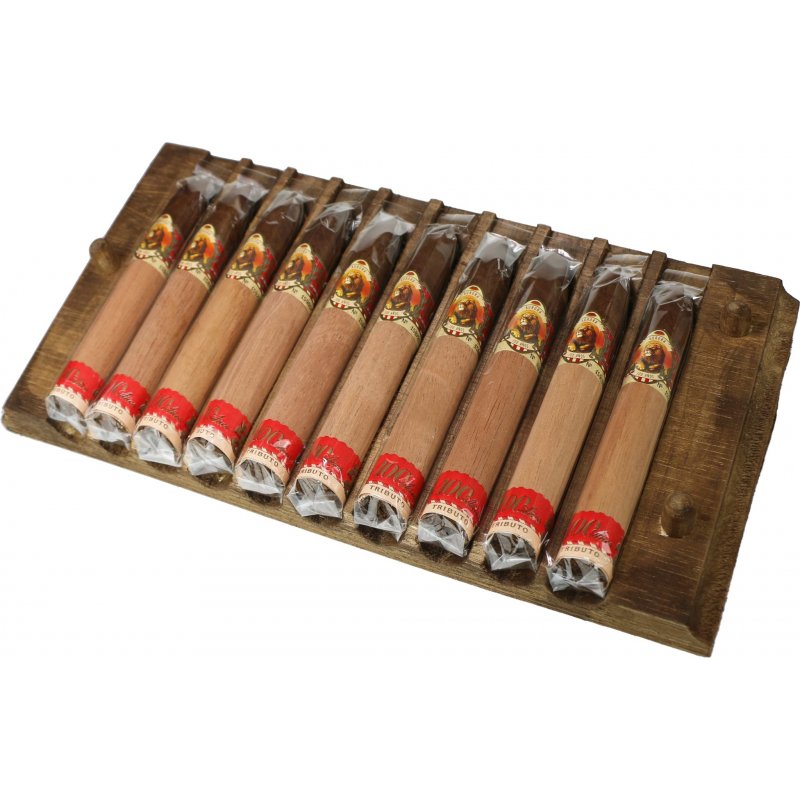 Trabucuri La Aurora 100 Anos Tribute Limited Edition Belicoso (10)