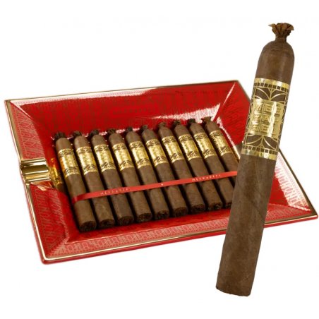 Trabucuri Meerapfel Richard Double Robusto (10) trabucuri rare