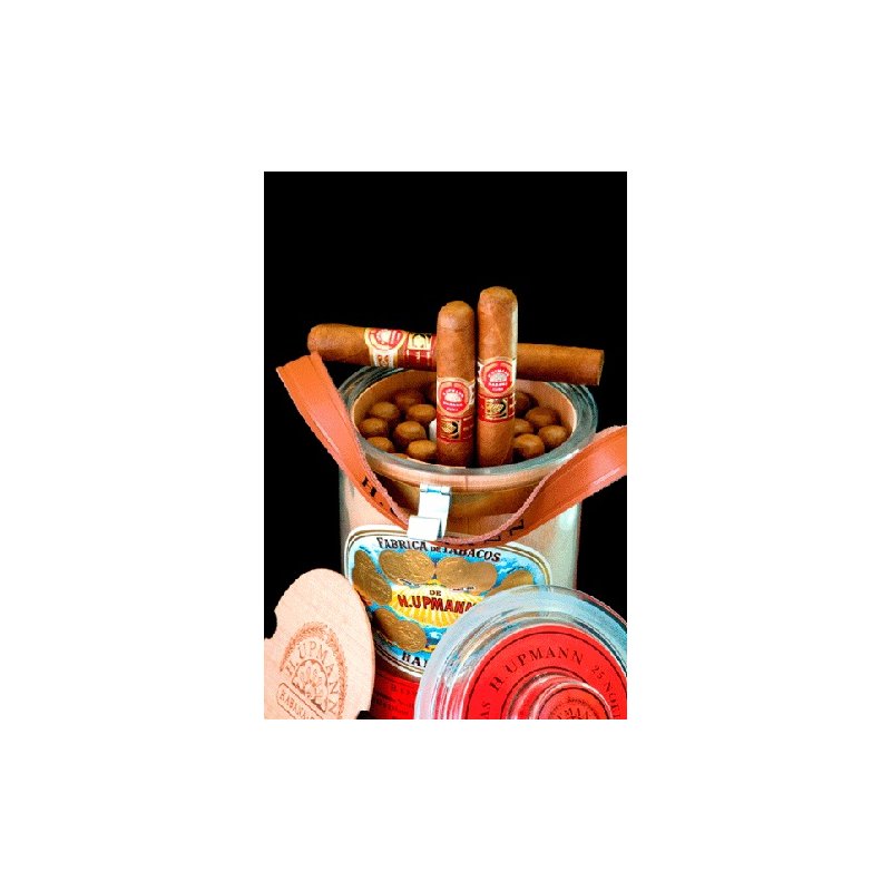 Trabucuri H.Upmann Noellas Jar CDH (25)