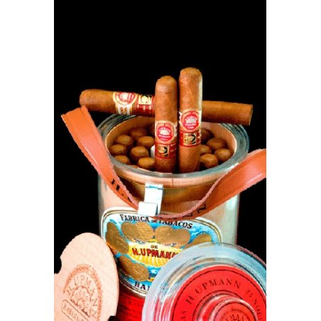 Trabucuri H.Upmann Noellas Jar CDH (25)