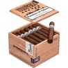 Trabucuri Intemperance WR 1794 Bradford Robusto (24)