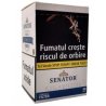Cumpara Tigari de foi Senator Filter Cigarillos Original (50)