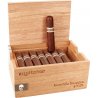 Trabucuri Aquitane Knuckle Dragger Short Robusto 24