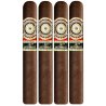 Trabucuri Perdomo 20th Anniversary Sun Grown E656 Epicure (24)