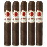 Trabucuri Rocky Patel Sun Grown Maduro Robusto (5)