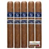 Trabucuri Rocky Patel Vintage 2003 Robusto (5)