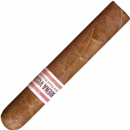 Trabucuri Buena Vista Dark Fired Kentucky Robusto 20