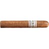 Trabucuri Buena Vista Robusto 20 - Experiență Aromatică Premium